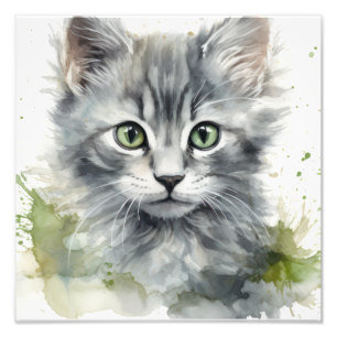 Impression Photo Kitten Nursery & Children's Room Prints