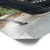 Impression Photo Kitty dans le parc (Coin)