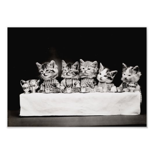 Impression Photo Kitty Tea Party (Devant)