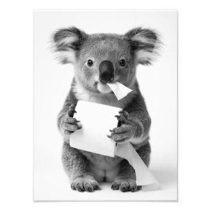 Impression Photo Koala Adorable Tenant le Papier Toilette avec Élég