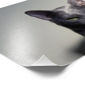 Impression Photo korat (Coin)