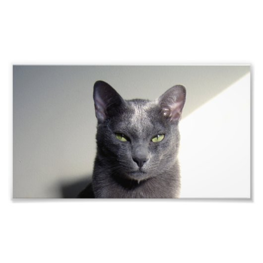 Impression Photo korat (Devant)