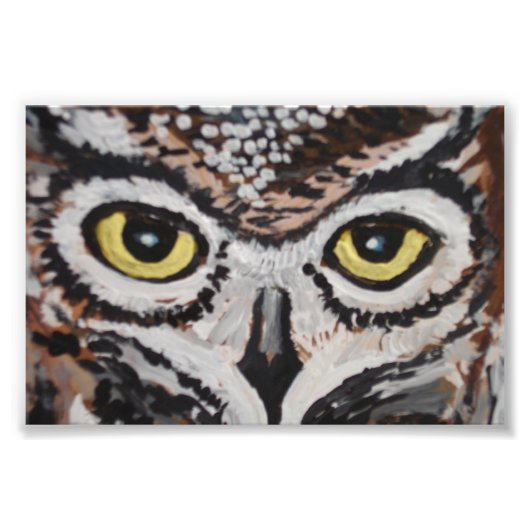 Impression Photo La chouette sage (Devant)