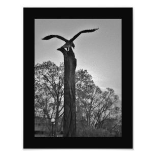 Impression Photo La Crosse Eagle