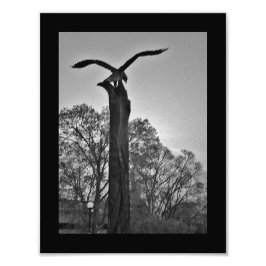 Impression Photo La Crosse Eagle (Devant)