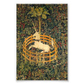 Impression Photo La licorne en captivité (Devant)