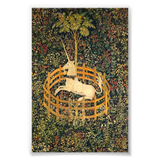 Impression Photo La licorne en captivité (Devant)