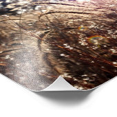 Impression Photo La nature au soleil (Coin)