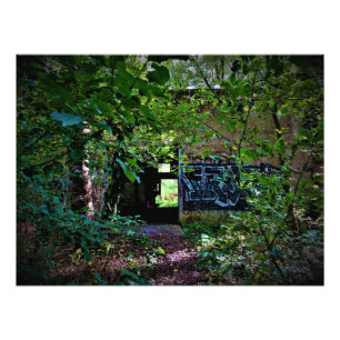 Impression Photo "La nature revendique les oubliés"