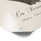 Impression Photo La Perruche à gorge rouge  (Coin)