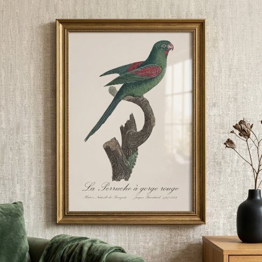 Impression Photo La Perruche à gorge rouge 