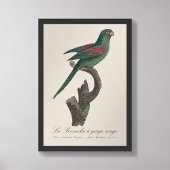 Impression Photo La Perruche à gorge rouge 