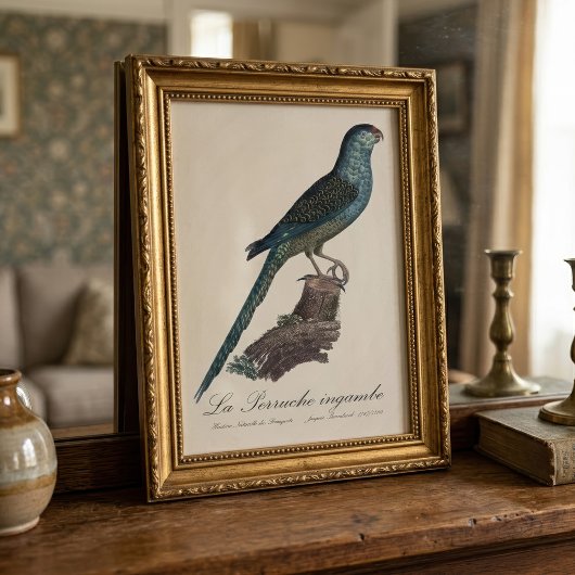 Impression Photo La Perruche ingambe