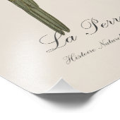 Impression Photo La Perruche un front rouge (Coin)