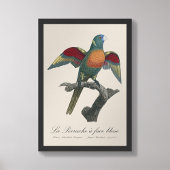 Impression Photo La Perruche une face bleue