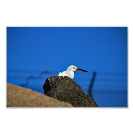 Impression Photo La plage d'El Porto Manhattan (Devant)