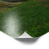 Impression Photo "La protection reste" (Coin)