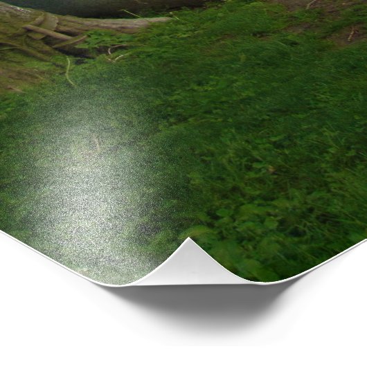 Impression Photo "La protection reste" (Coin)