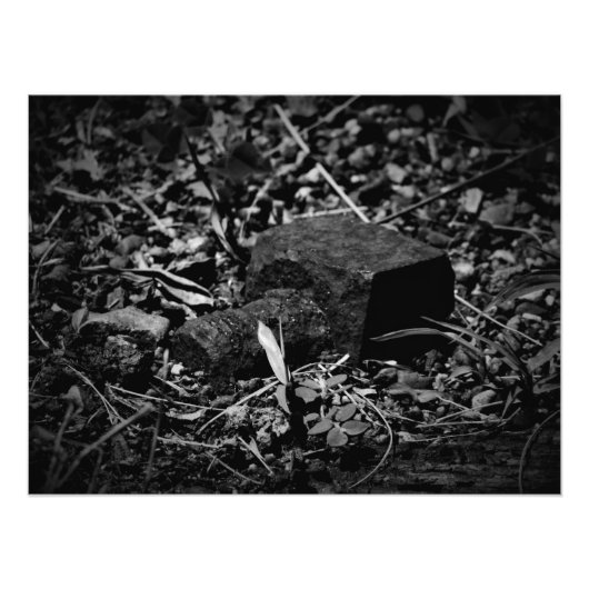 Impression Photo "La révérence des jours passés" (Devant)