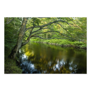 Impression Photo La rivière Taunton à Bridgewater,