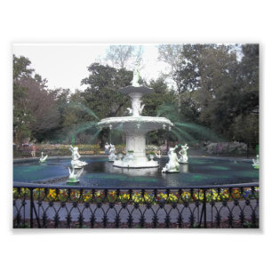 Impression Photo La savane, GA