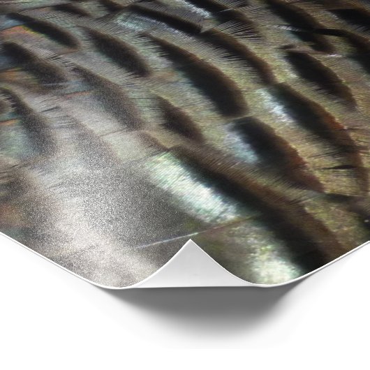 Impression Photo La Turquie sauvage Plumes I Abstrait Nature Design (Coin)