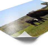 Impression Photo La vache et le veau de Mama au Texas (Coin)