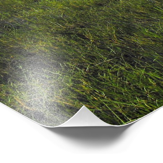 Impression Photo La vallée de Pararaha (Coin)