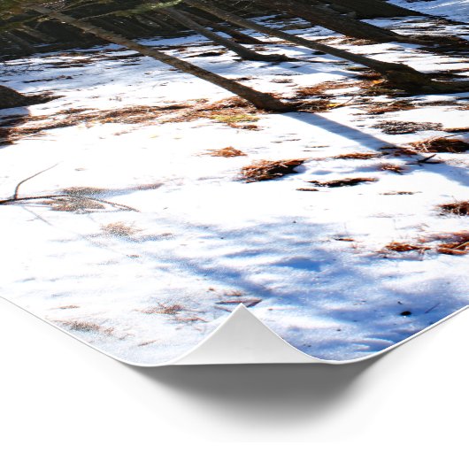 Impression Photo Lac Arrowhead (Coin)