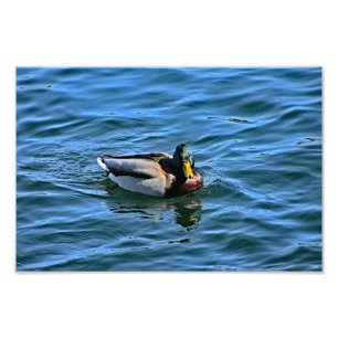 Impression Photo Lac Arrowhead