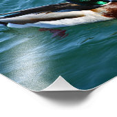 Impression Photo Lac Arrowhead (Coin)
