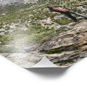 Impression Photo Lac Bullfrog et col Kearsarge - Sierra (Coin)