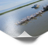 Impression Photo Lac Chapala Pelicans (Coin)
