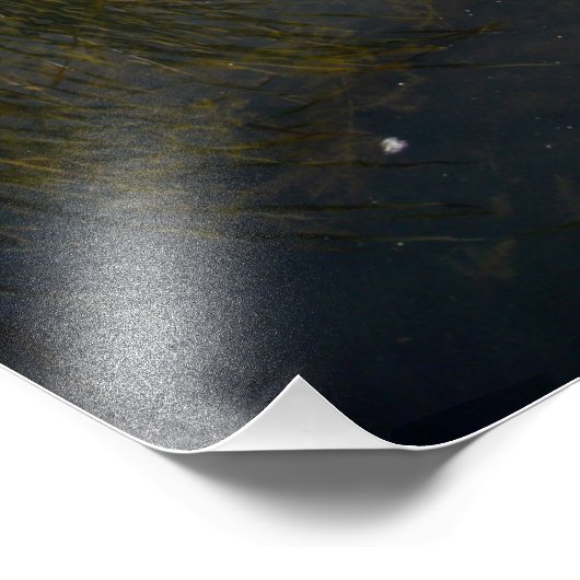 Impression Photo Lac Grassy (Coin)