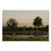 Lac Meadow