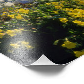 Impression Photo LAC OURS, UT, États-Unis, fleur de singe & tumblew (Coin)