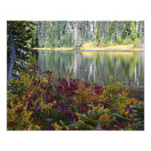 Impression Photo Lac paisible Vibrant automne couleur paysage (Devant)