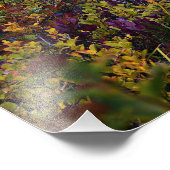 Impression Photo Lac paisible Vibrant automne couleur paysage (Coin)