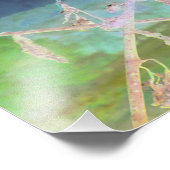 Impression Photo "L'adieu du serpent" Transformé Snakeskin (Coin)