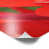 Impression Photo "Lady in Red Canna Lily" Imprimer (Coin)