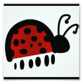 Impression Photo Ladybug (Devant)