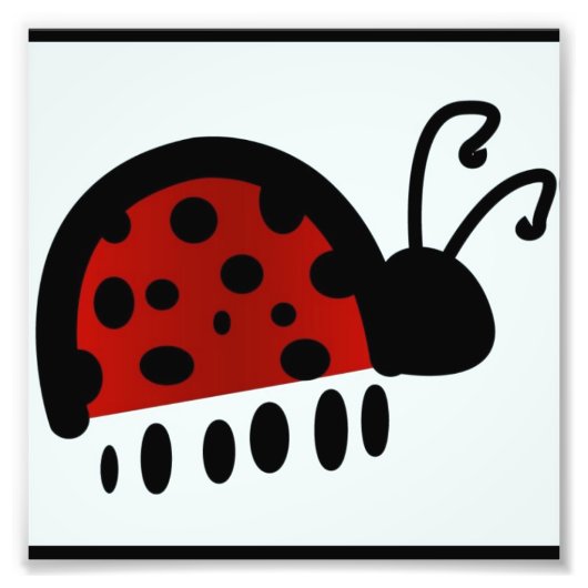 Impression Photo Ladybug (Devant)