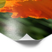 Impression Photo Ladybug sur la jonquille jaune Floral (Coin)