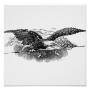 Impression Photo L'aigle porte le drapeau américain