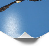 Impression Photo L'aigle prend son envol (Coin)