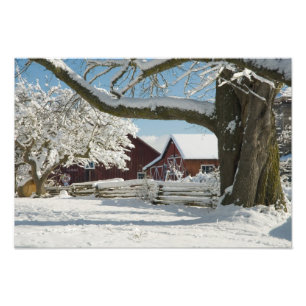 Impression Photo L'Amérique du Nord, Etats-Unis, WA, île de