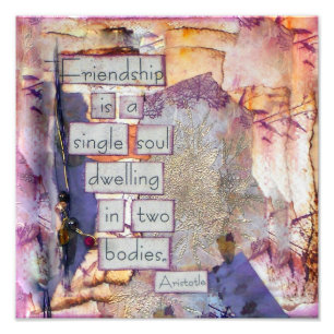 Impression Photo L'Amitié Des Citations Est Une Âme Unique