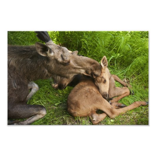 Impression Photo L'amour d'une mère (Devant)