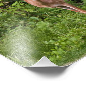 Impression Photo L'année (Coin)