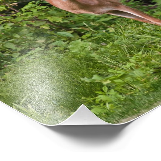 Impression Photo L'année (Coin)